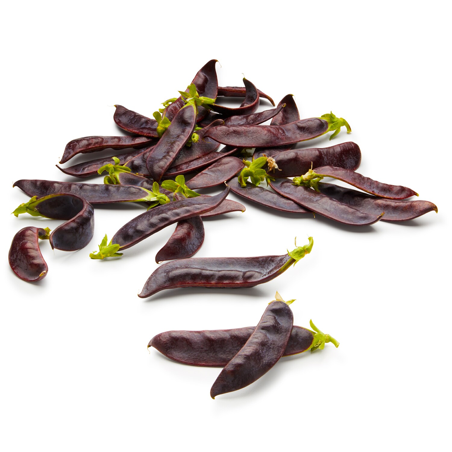 Lancaster Farm Fresh Cooperative Organic Beauregard Snow Peas