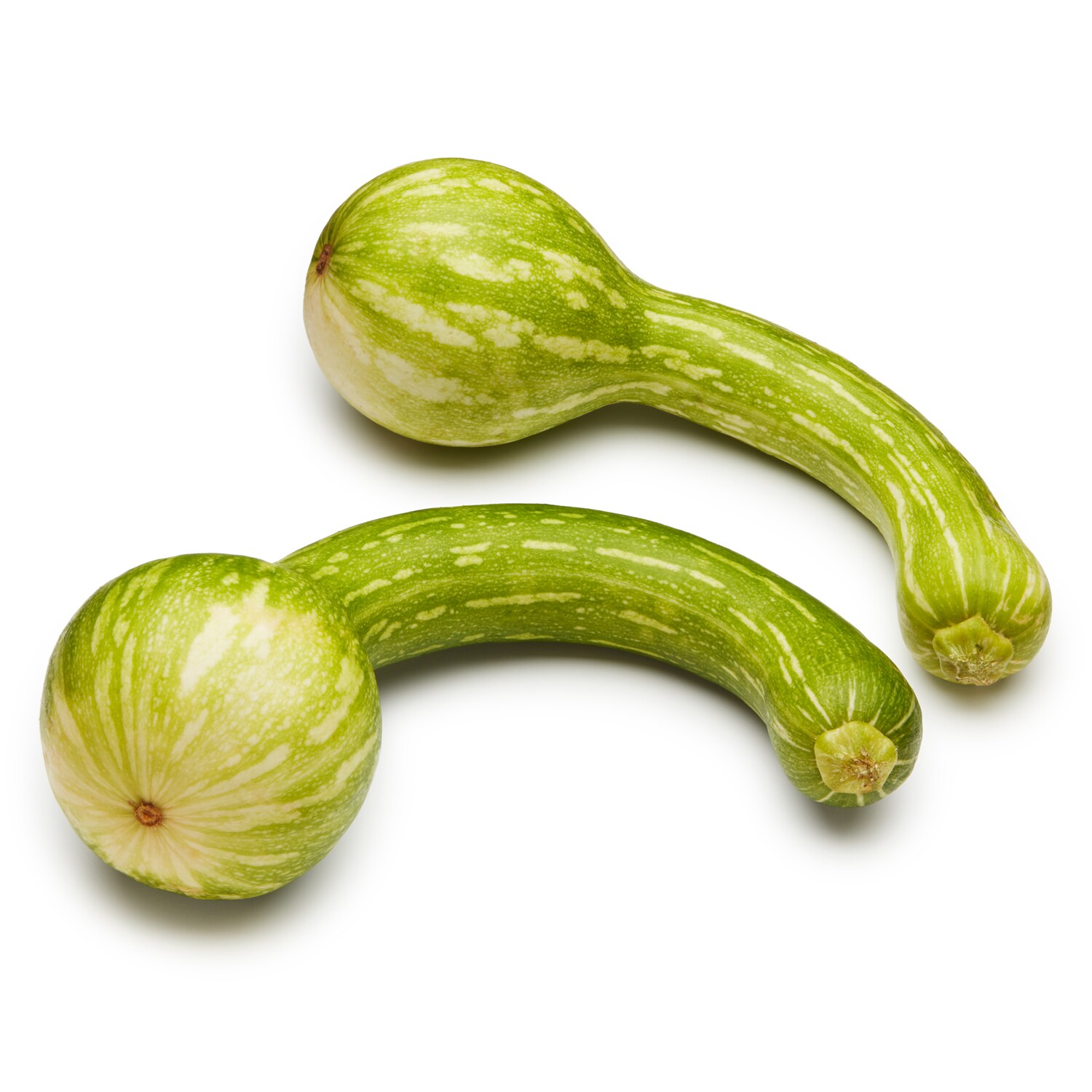 Lancaster Farm Fresh Cooperative Organic Centercut Squash