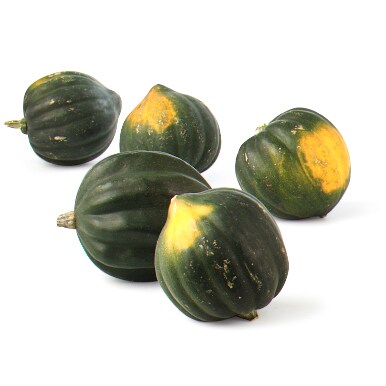 Grown in Pennsylvania Transitional Acorn Squash
