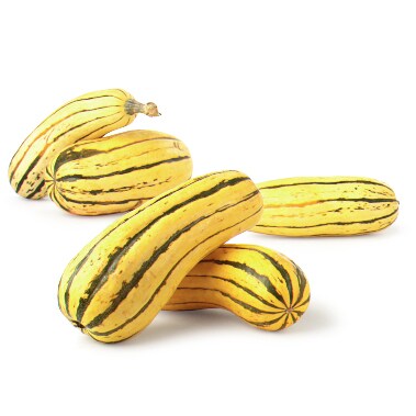 Grown in Pennsylvania Transitional Delicata Squash
