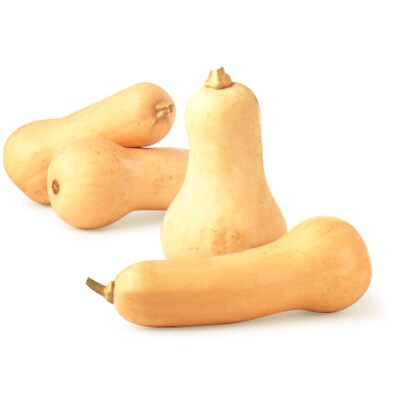 Grown in Pennsylvania Transitional Butternut Squash