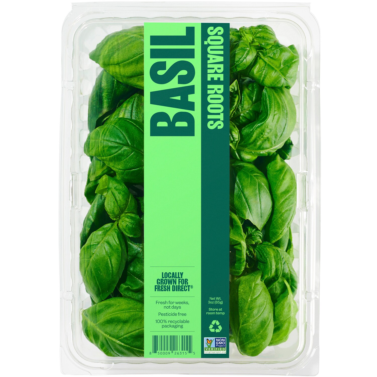 Square Roots Local Basil