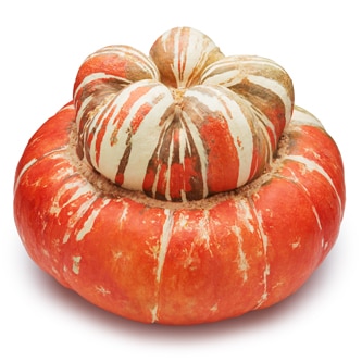 Turban Squash