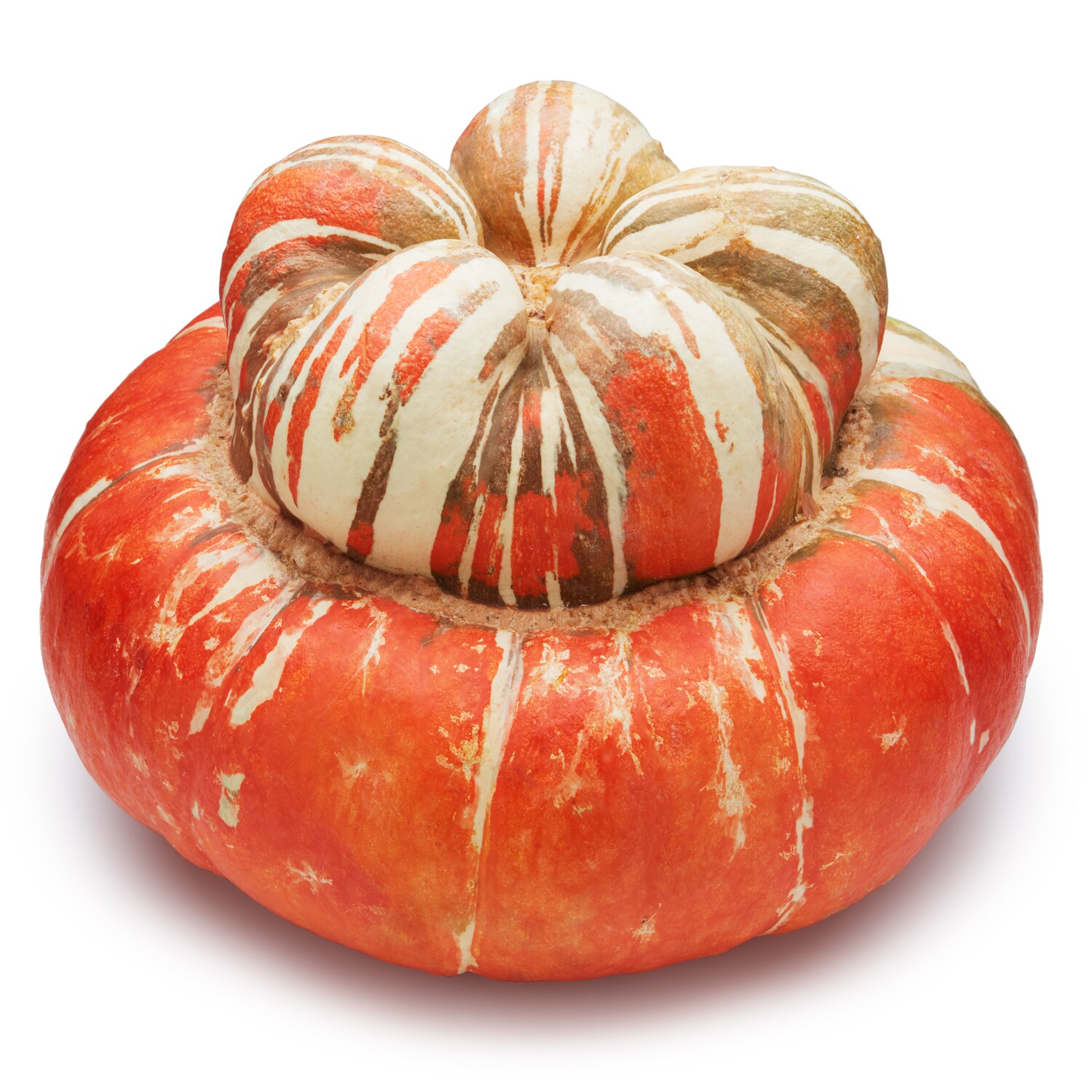 Organic Turban Squash