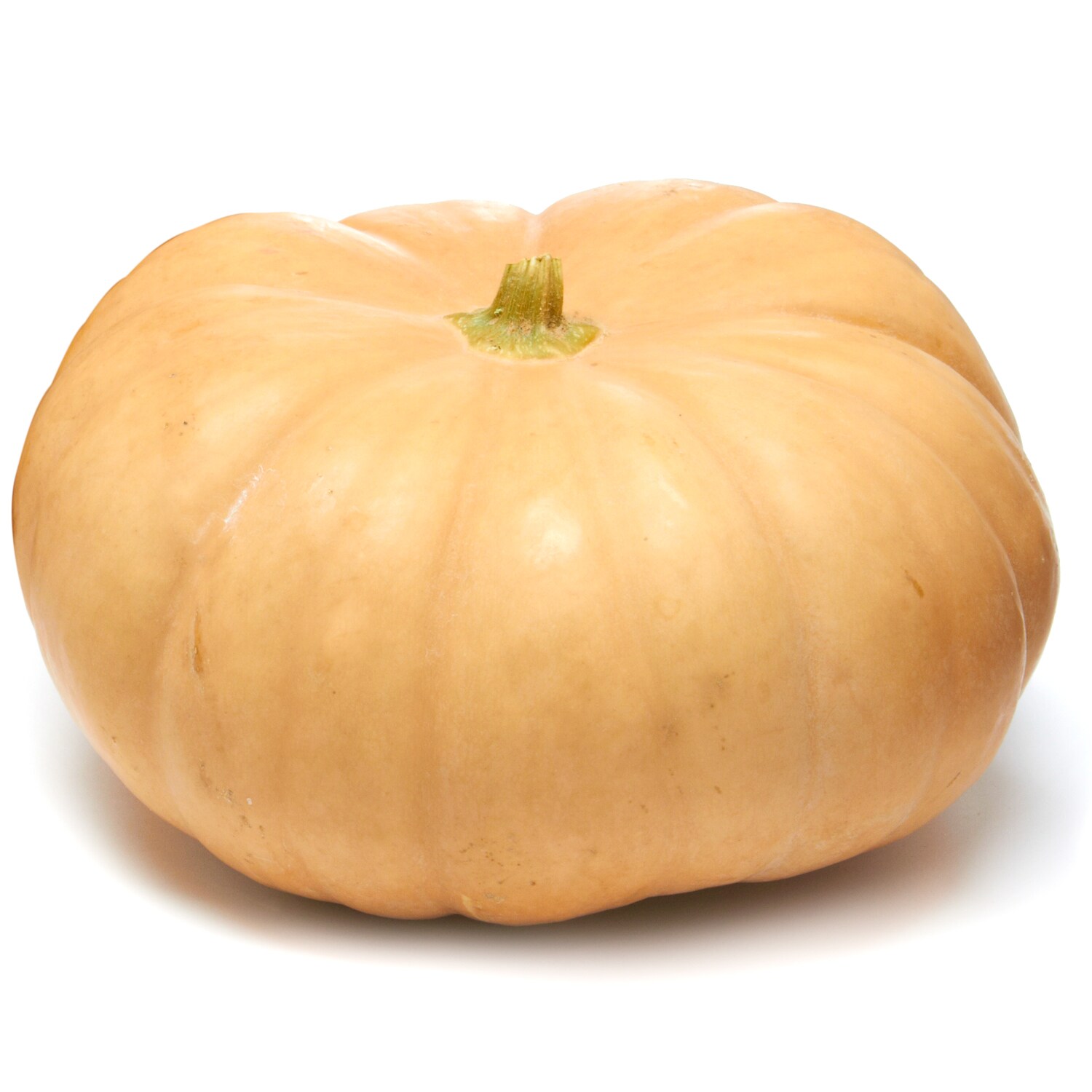 Pink Doll Pumpkin