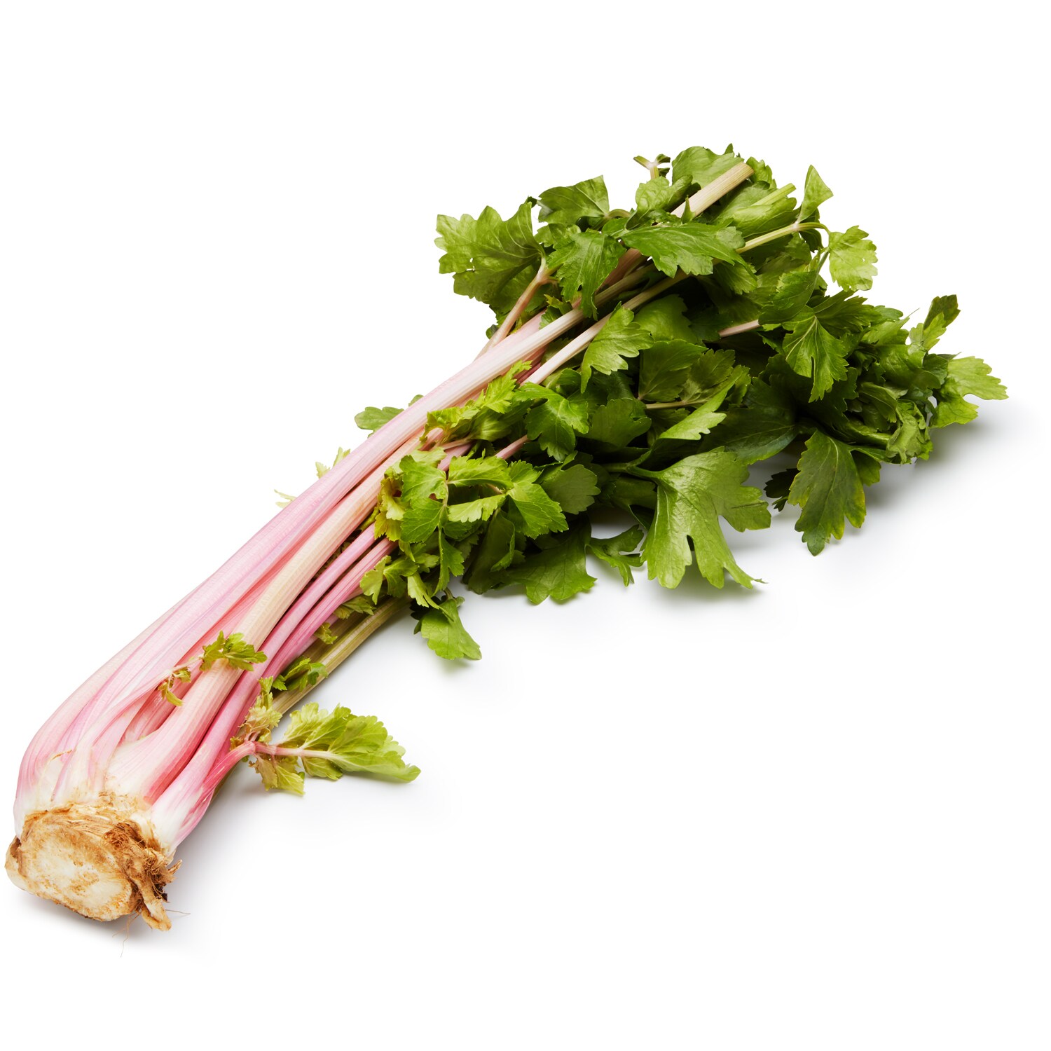 Lancaster Farm Fresh Cooperative Local Organic Pink Celery