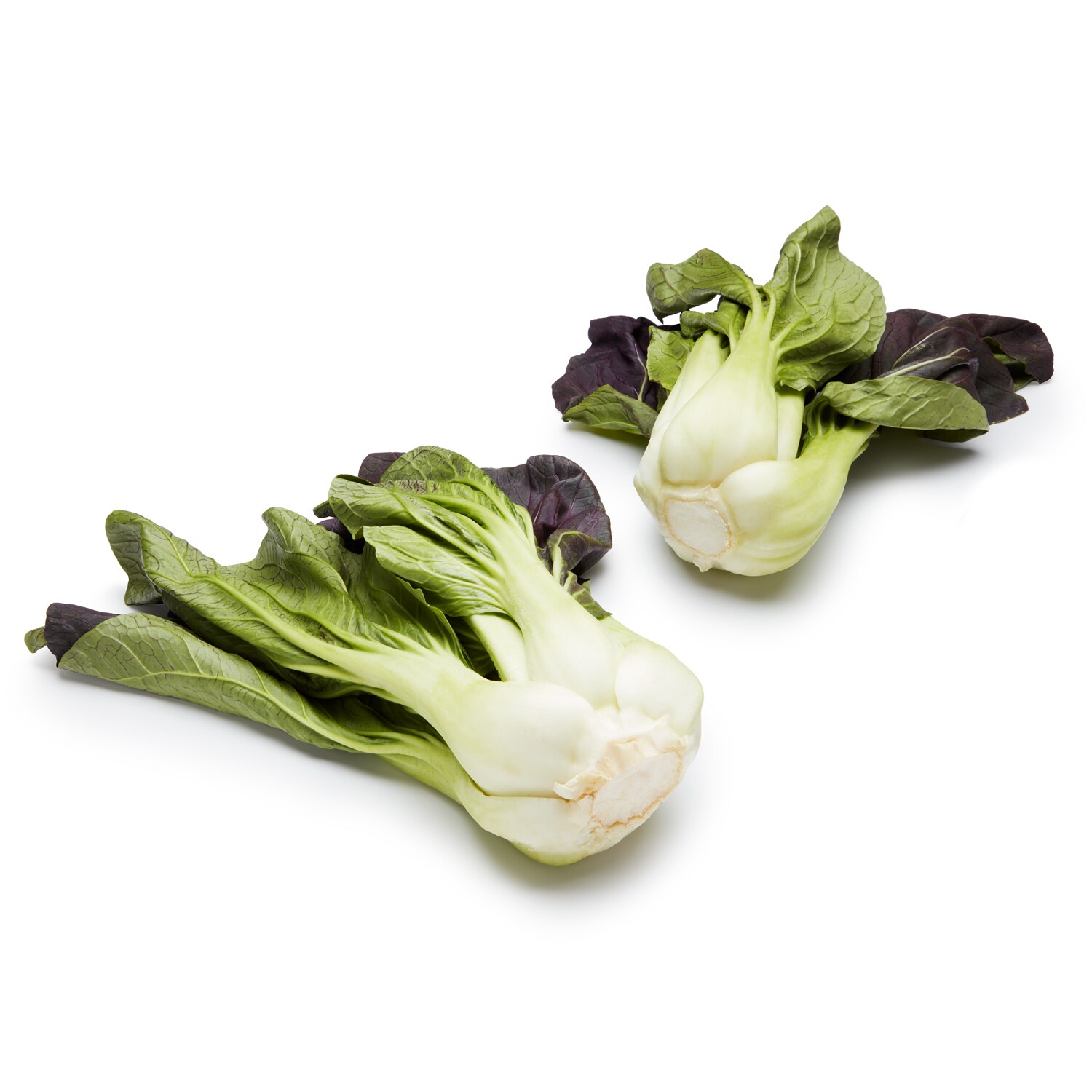 Lancaster Farm Fresh Cooperative Local Organic Red Baby Bok Choy