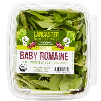 Lancaster Farm Fresh Cooperative Local Organic Baby Romaine
