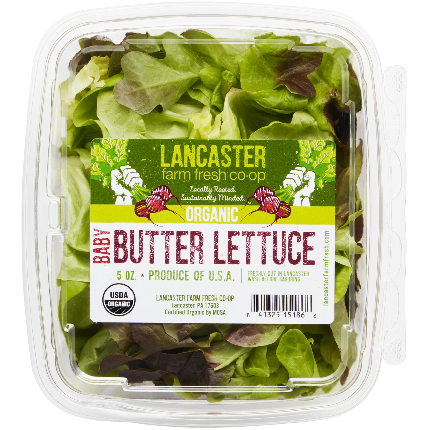 Lancaster Farm Fresh Cooperative Local Organic Baby Butter Lettuce