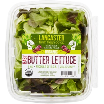 Lancaster Farm Fresh Cooperative Local Organic Baby Butter Lettuce