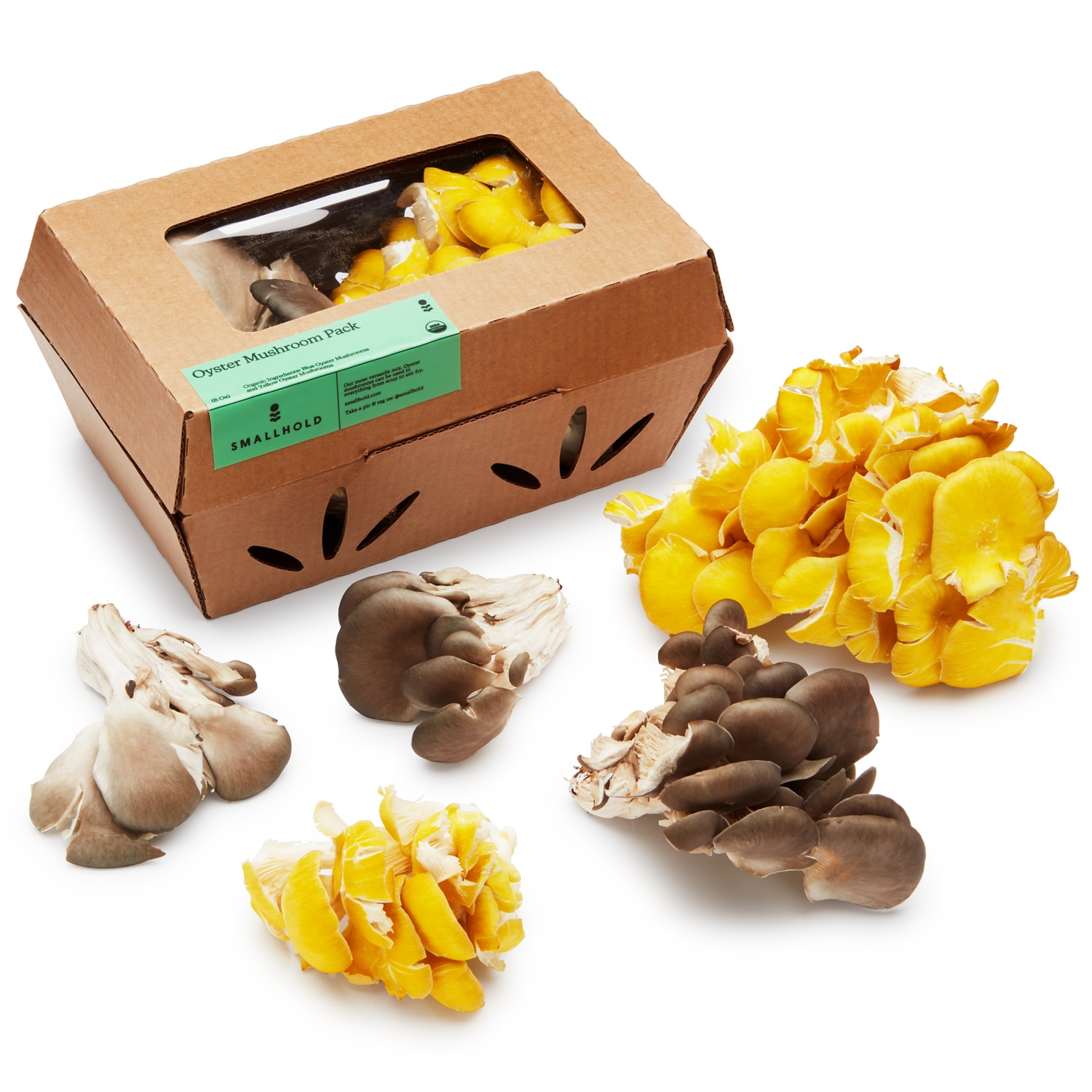 Smallhold Organic Mixed Oyster Mushrooms