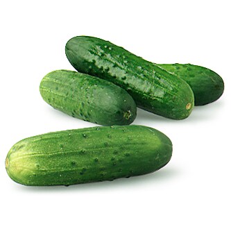 Wells Homestead Acres Kirby Cucumbers