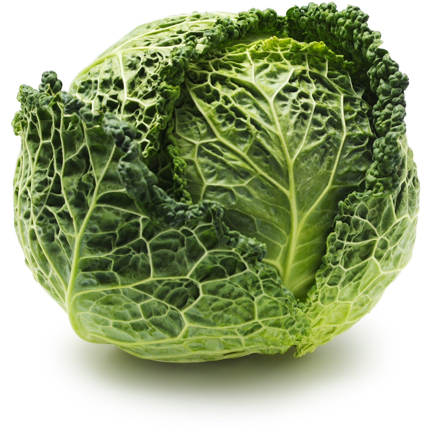 Organic Savoy Cabbage