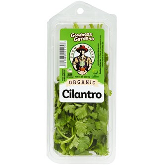 Organic Cilantro