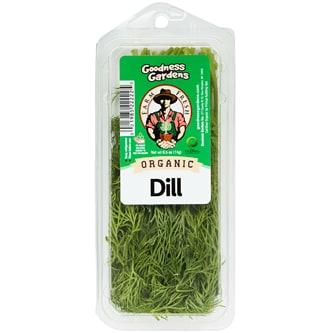 Organic Dill