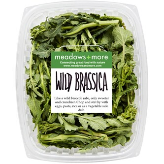 Meadows and More Wild Brassica