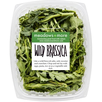 Meadows and More Wild Brassica
