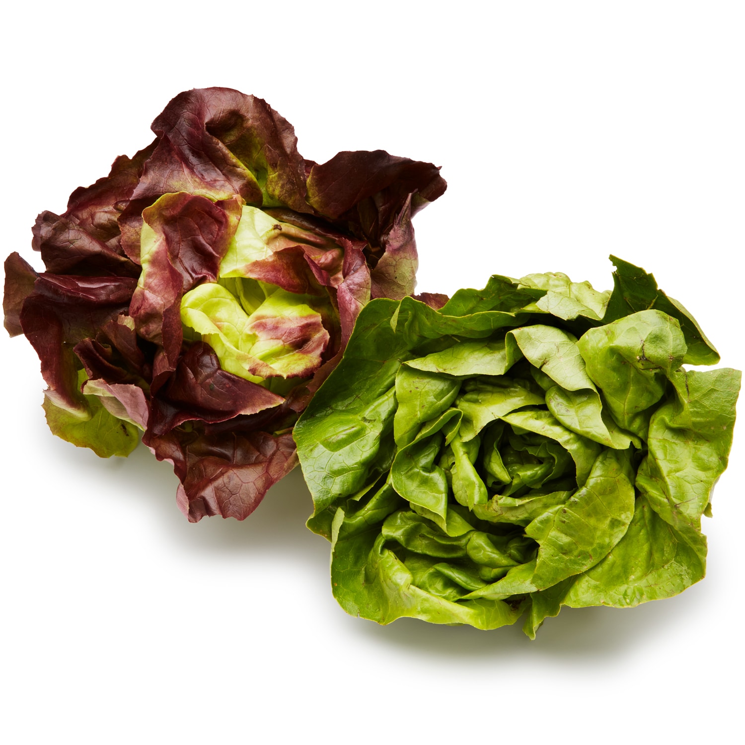 Lancaster Farm Fresh Cooperative Local Organic Mixed Butterhead Lettuce