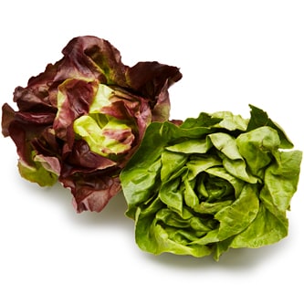 Lancaster Farm Fresh Cooperative Local Organic Mixed Butterhead Lettuce