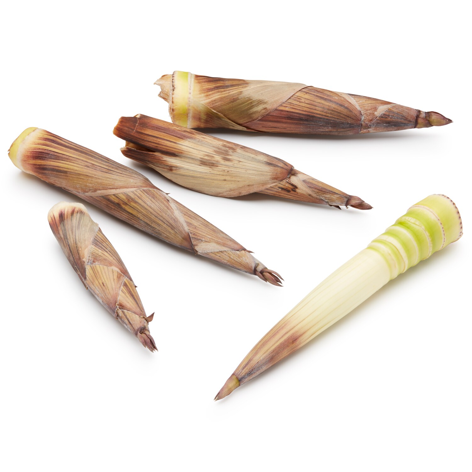 Meadows and More Wild Bamboo Shoots