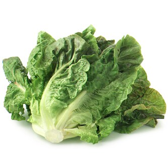 Jersey Fresh Local Romaine Lettuce