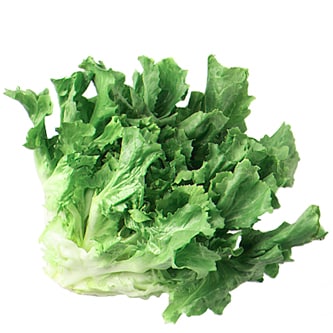 Jersey Fresh Local Escarole