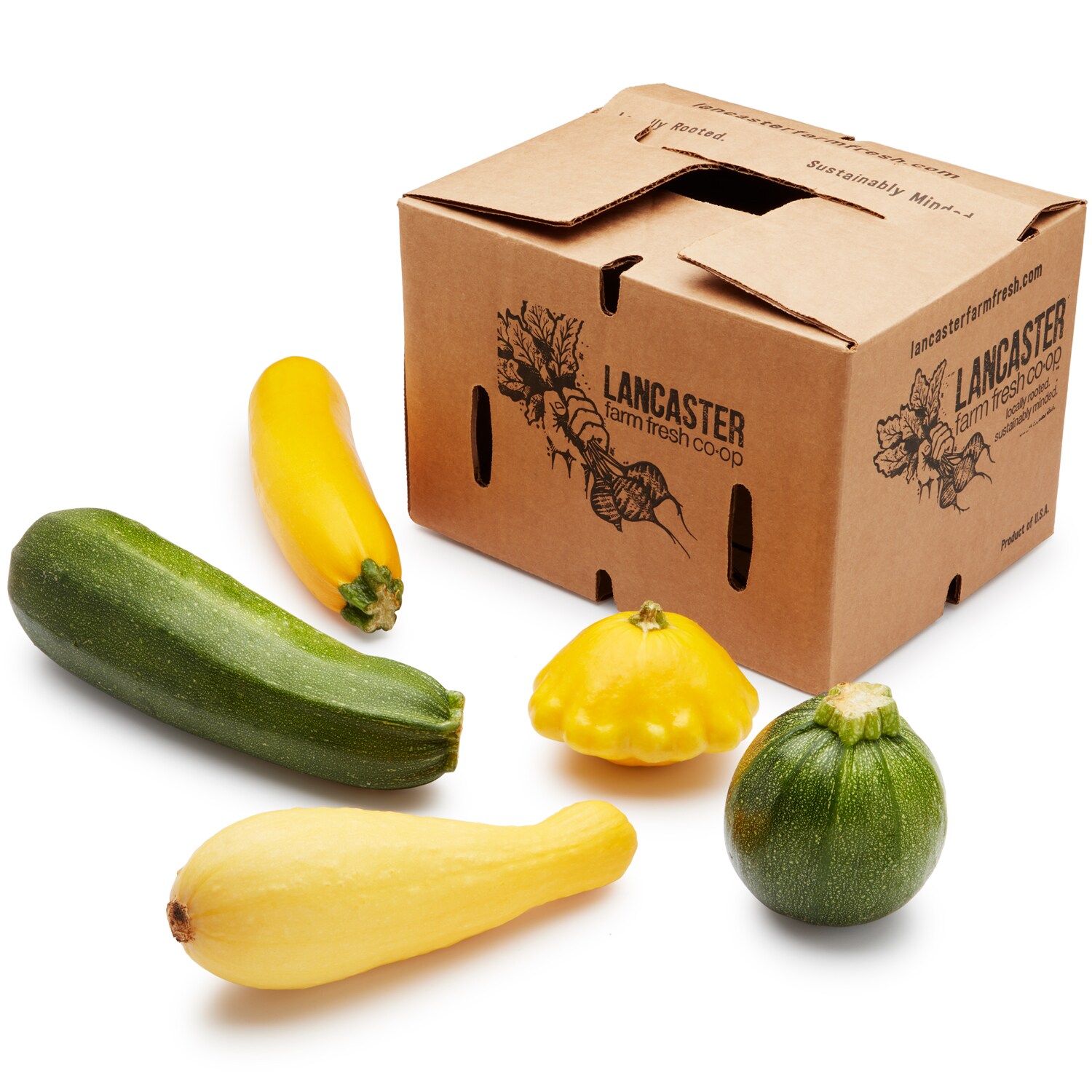 Lancaster Farm Fresh Cooperative Local Organic Farmer's Pick Summer Squash Box