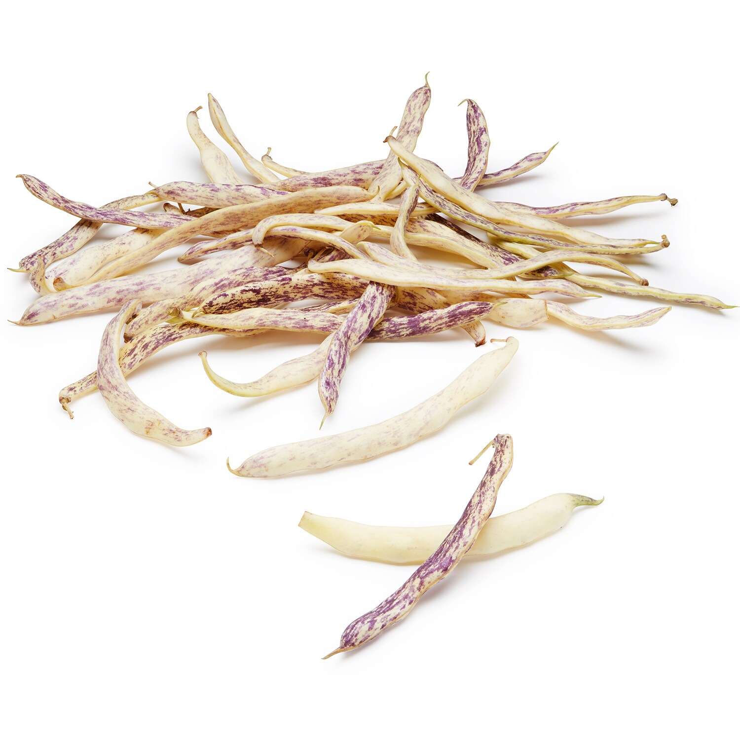 Lancaster Farm Fresh Cooperative Local Organic Dragon Tongue Beans
