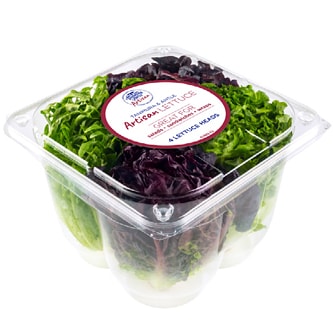 Tanimura & Antle Artisan Lettuce