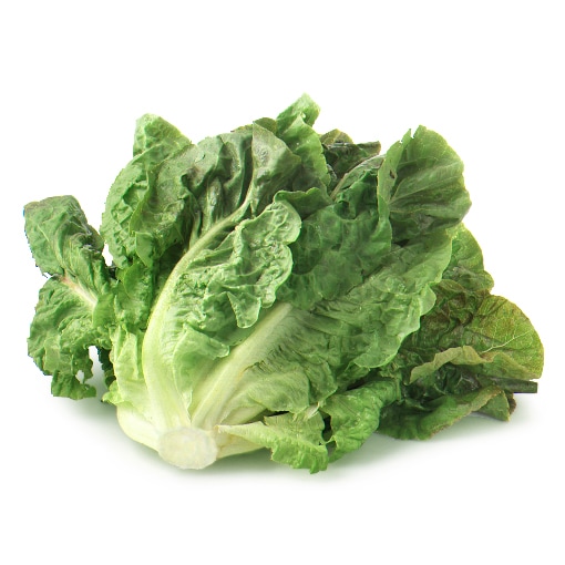 Romaine Lettuce