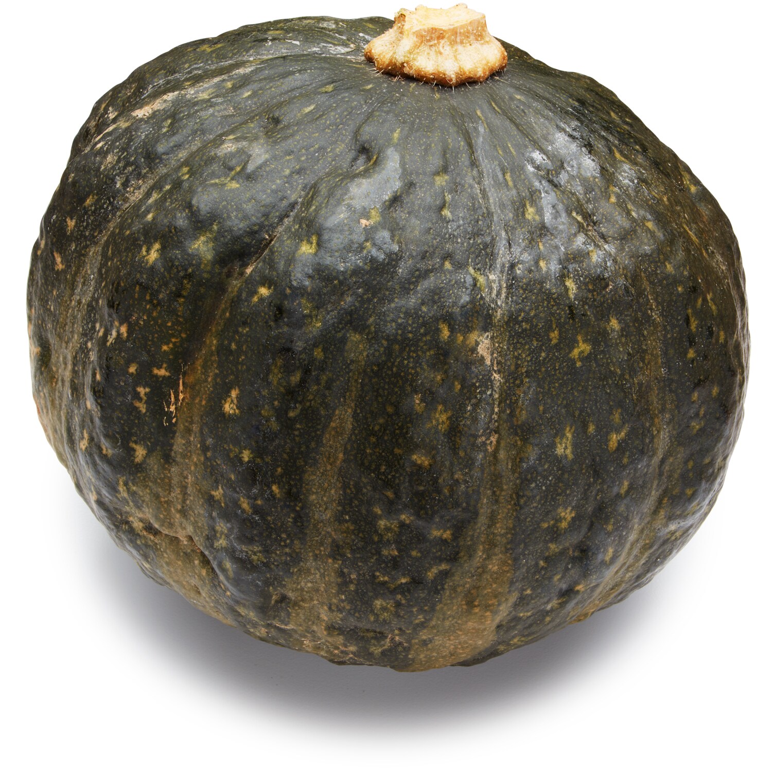 Lancaster Farm Fresh Cooperative Organic Tetsukabuto Squash