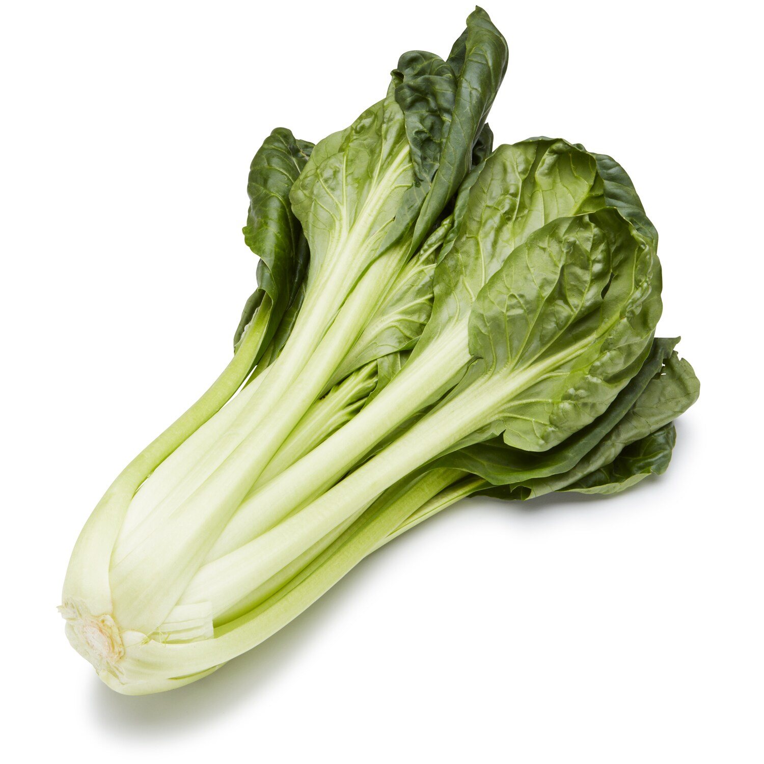 Lancaster Farm Fresh Cooperative Organic Tatsoi