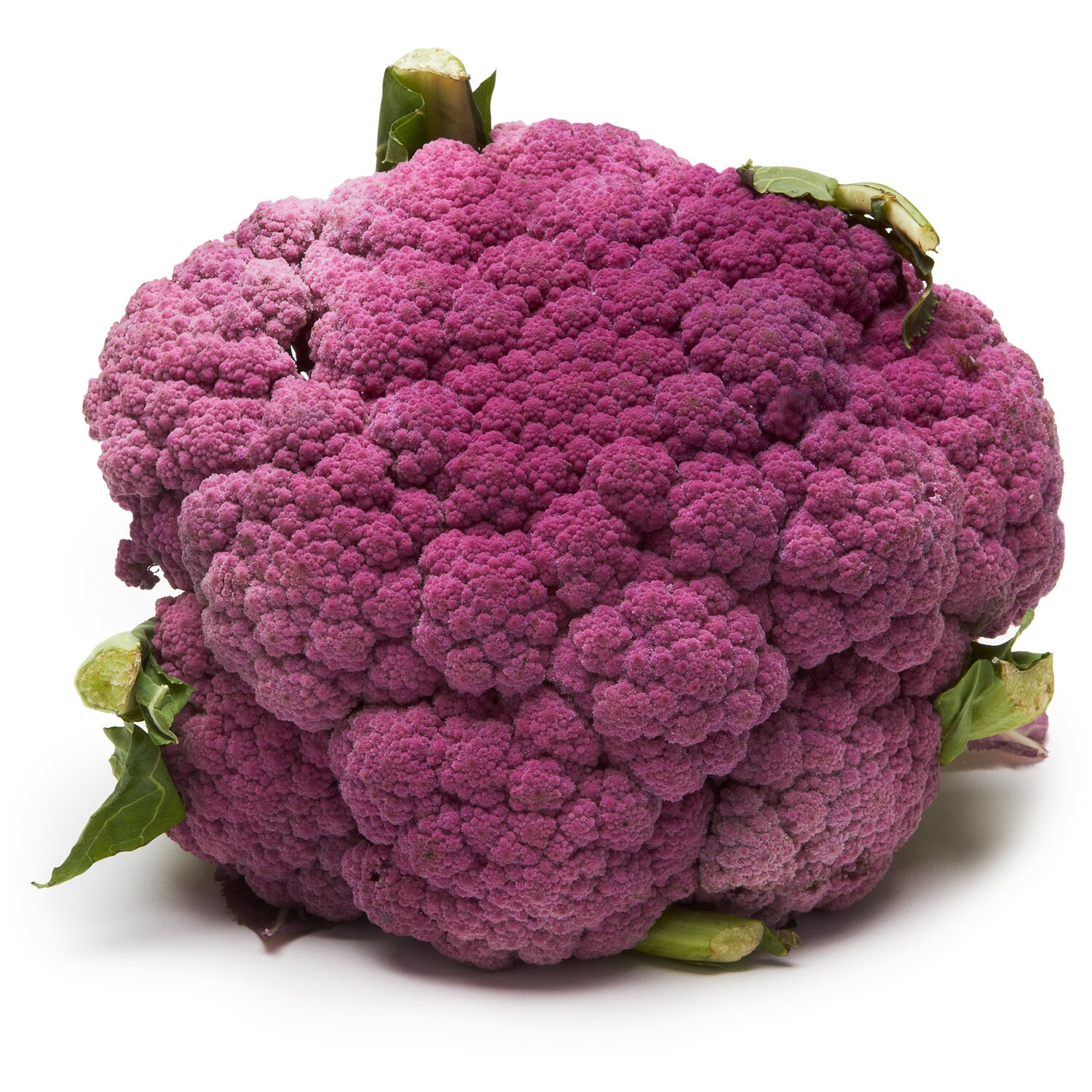 Lancaster Farm Fresh Cooperative Local Organic Purple Cauliflower