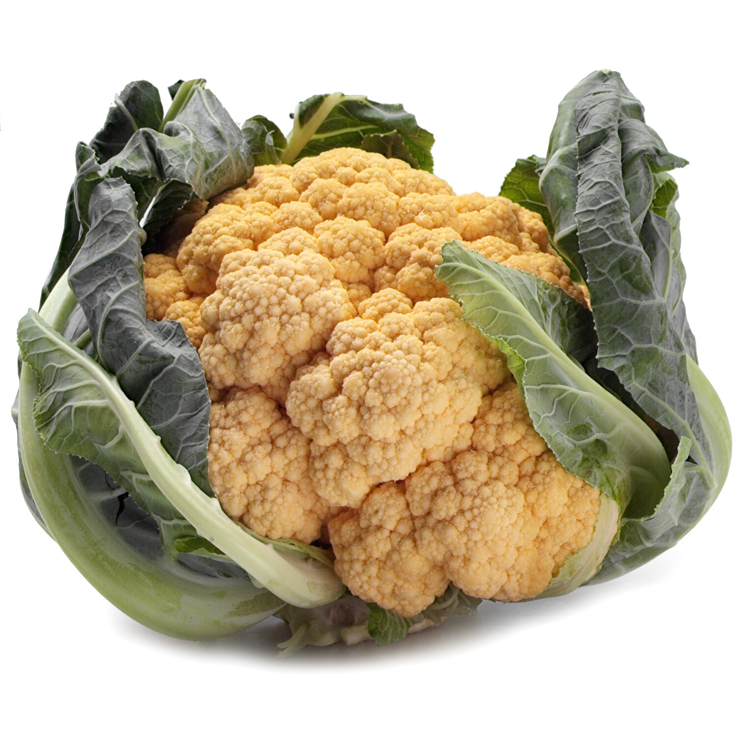 Lancaster Farm Fresh Cooperative Local Organic Orange Cauliflower
