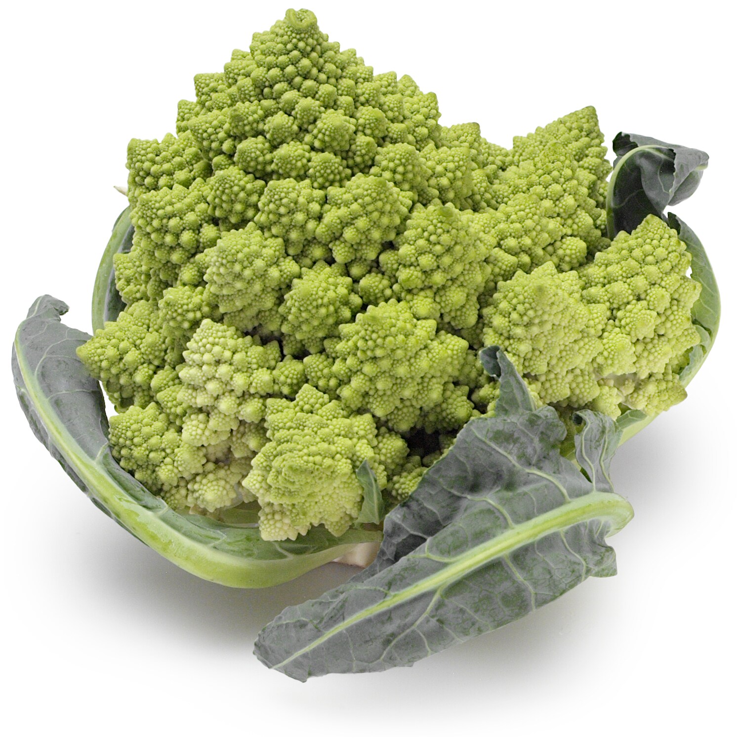 Lancaster Farm Fresh Cooperative Local Organic Romanesco Cauliflower