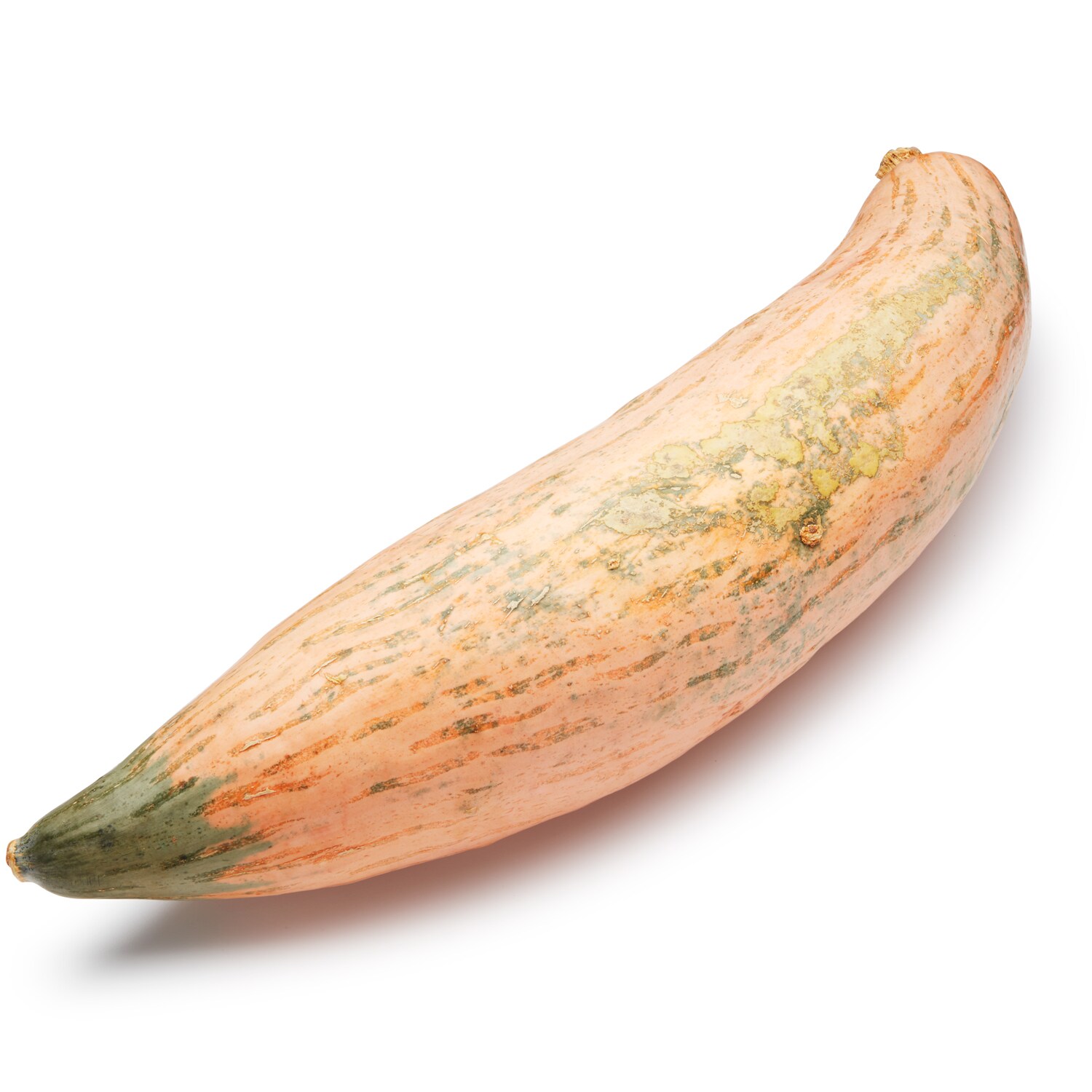 Lancaster Farm Fresh Cooperative Local Organic Candy Roaster Squash