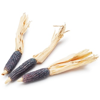 Lancaster Farm Fresh Cooperative Local Organic Blue Mini Popping Corn on the Cob