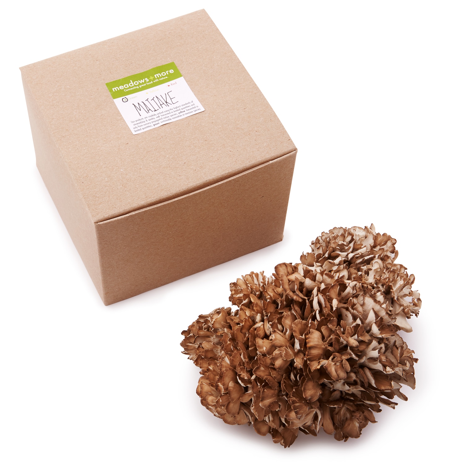 Meadows and More Jumbo Maitake Mushroom