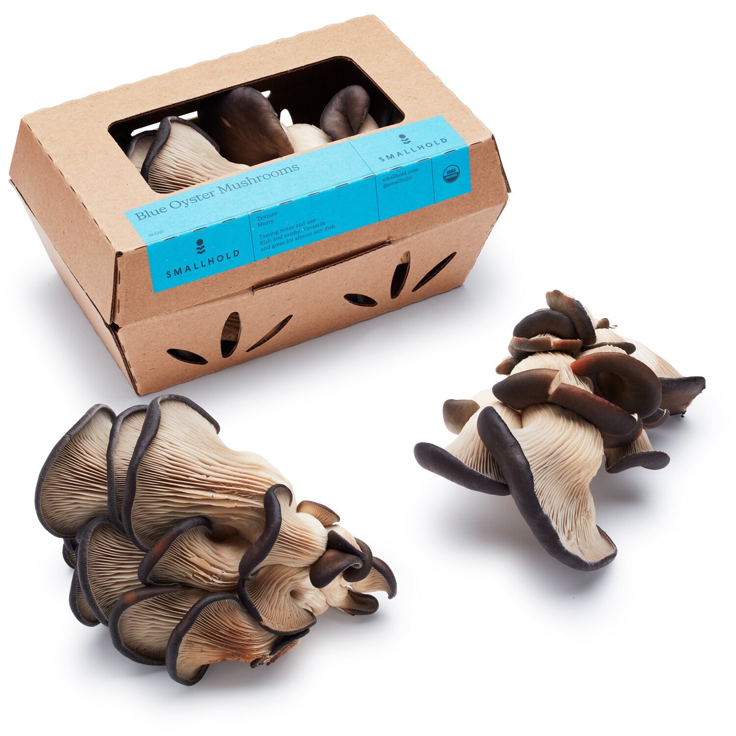 Smallhold Organic Blue Oyster Mushrooms