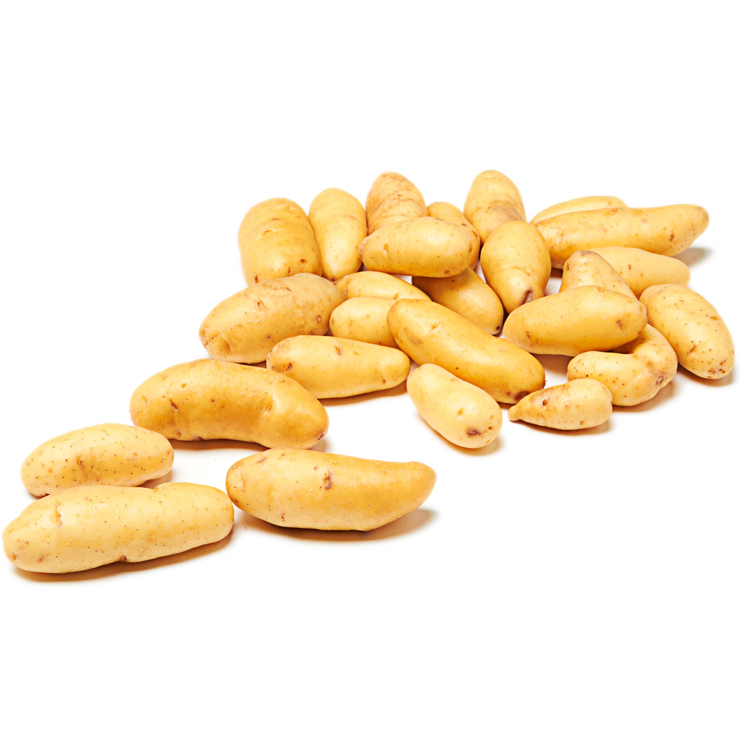 Lancaster Farm Fresh Cooperative Local Organic Russian Banana Fingerling Potatoes