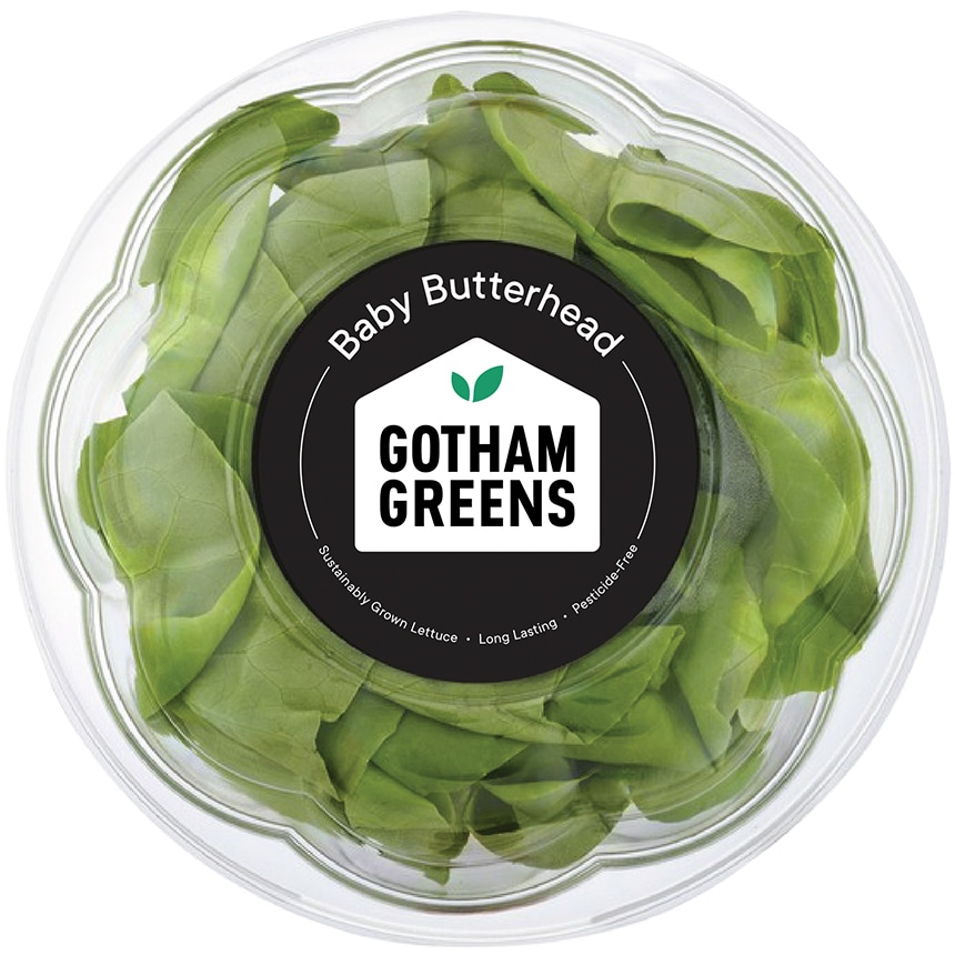 Gotham Greens Local Baby Butterhead Lettuce