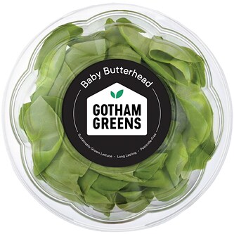 Gotham Greens Local Baby Butterhead Lettuce