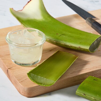 Aloe Vera Leaf, image 2 of 2 slides