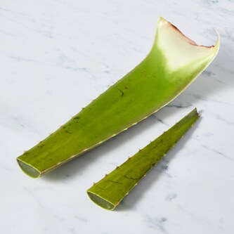 Aloe Vera Leaf