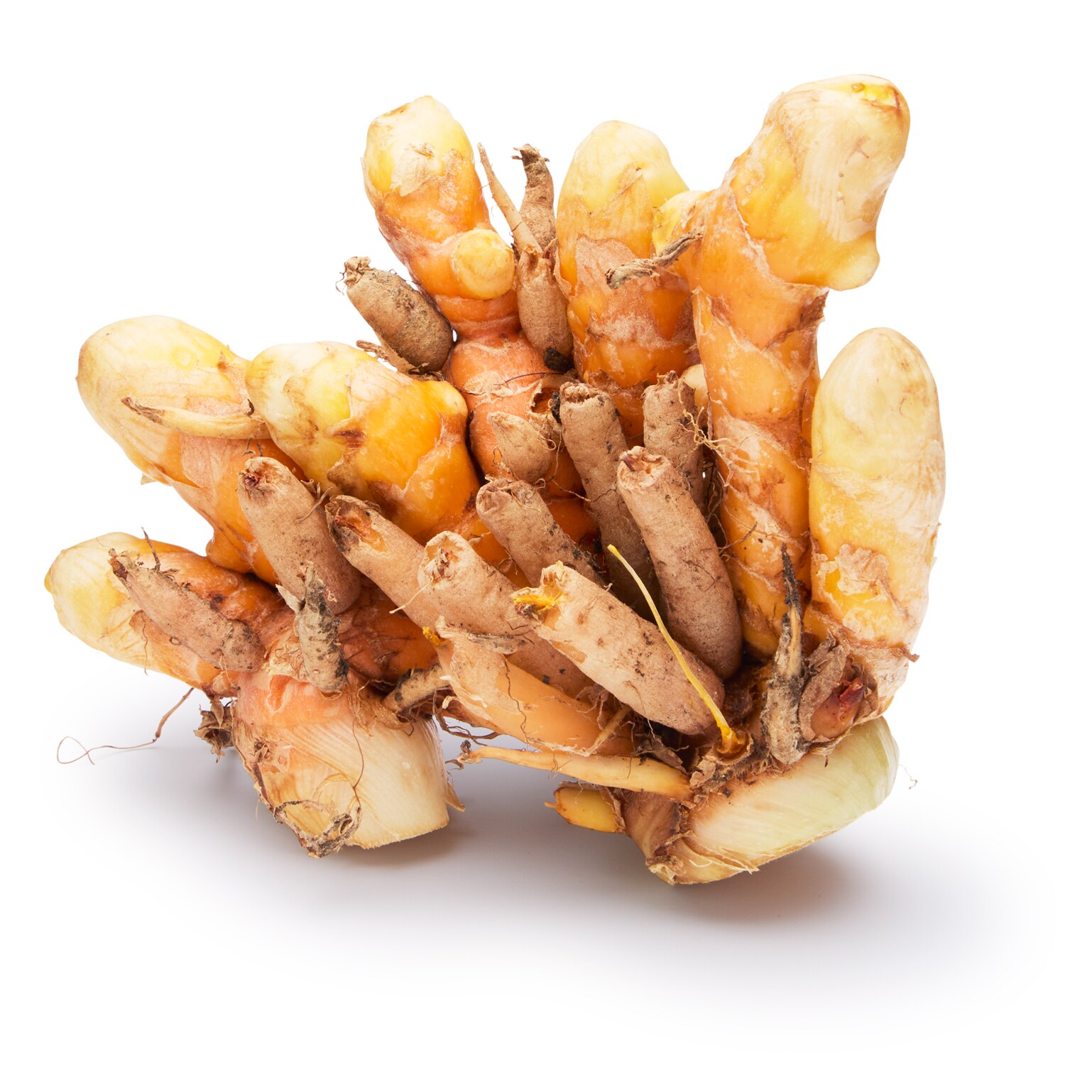 Old Friends Farm Organic Young Turmeric