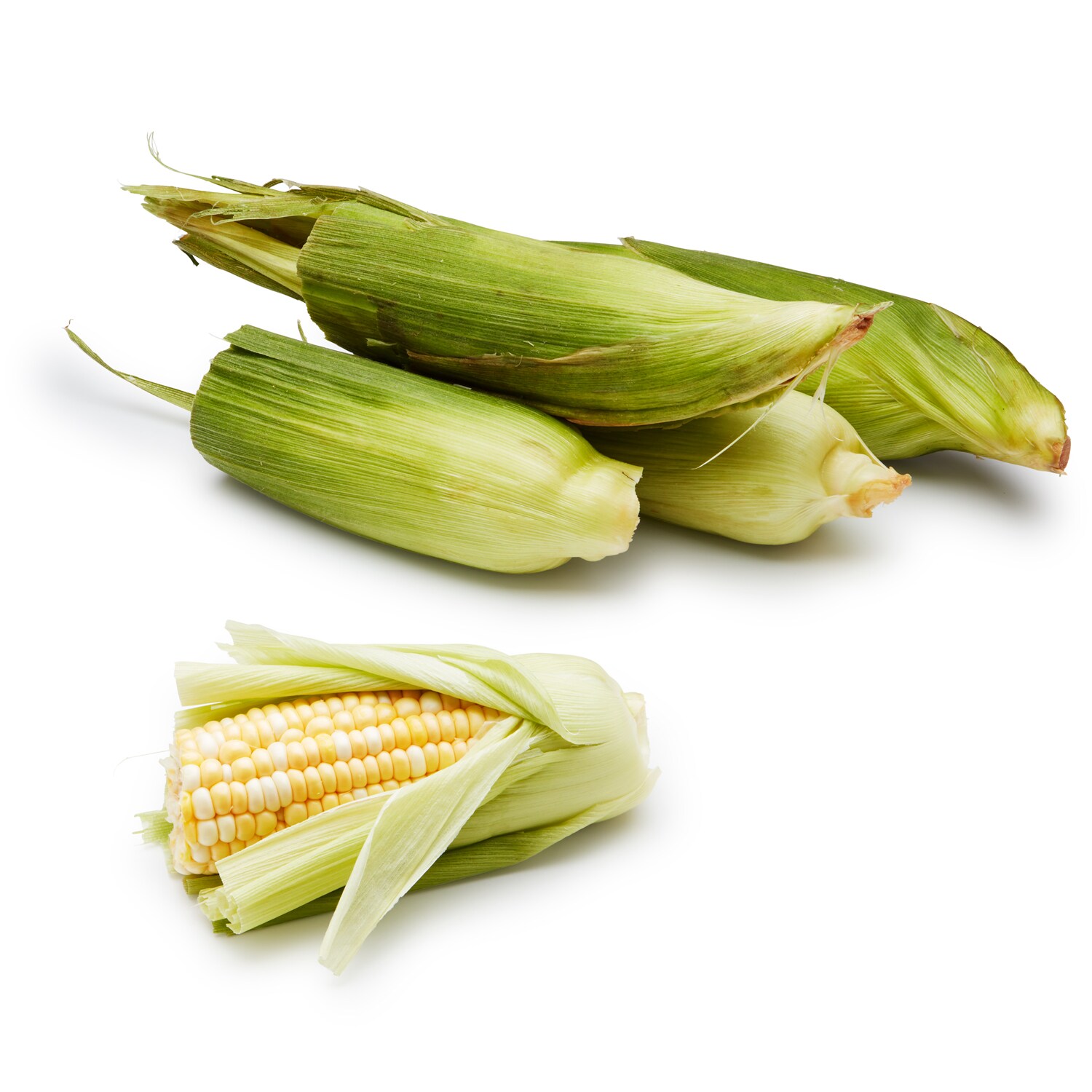 Organic Bicolor Corn