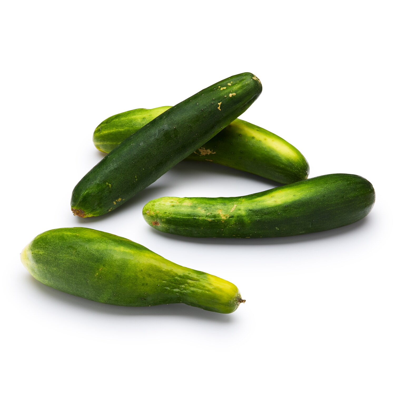 Pretty on the Inside Local Organic Cucumber