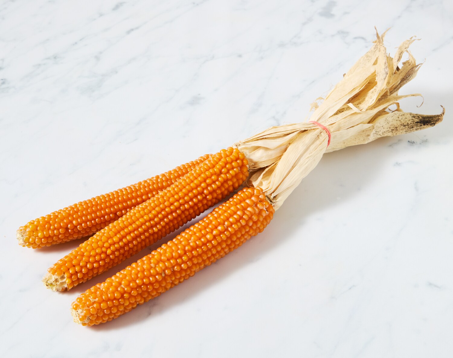 Lancaster Farm Fresh Cooperative Local Organic Popping Corn on the Cob