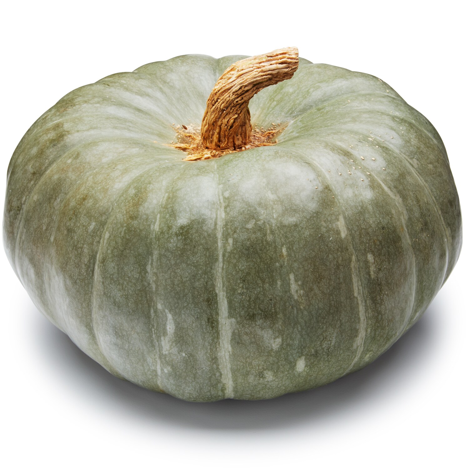 Wells Homestead Acres Local Jade Knight Squash
