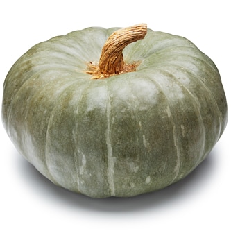 Wells Homestead Acres Local Jade Knight Squash